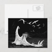 Seagull Postkarte (Vorne/Hinten)