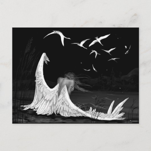 Seagull Postkarte (Vorderseite)