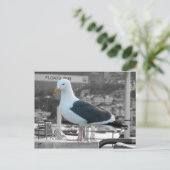 Seagull Postkarte (Stehend Vorderseite)