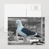 Seagull Postkarte (Vorne/Hinten)