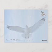 Seagull Postkarte (Rückseite)