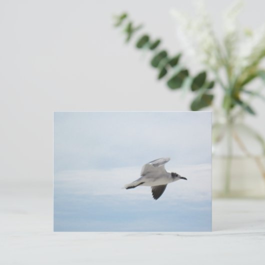 Seagull Postkarte (Stehend Vorderseite)