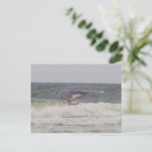 Seagull Postkarte (Stehend Vorderseite)