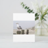 Seagull Postkarte (Stehend Vorderseite)