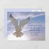 Seagull Postkarte (Vorne/Hinten)