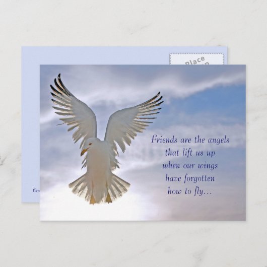 Seagull Postkarte (Vorne/Hinten)