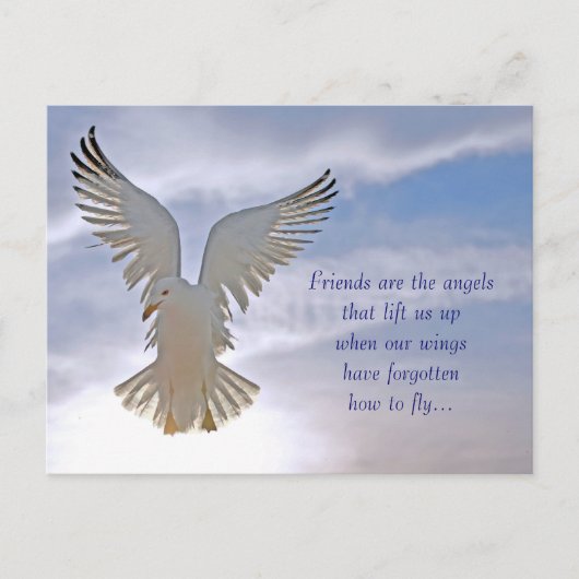 Seagull Postkarte (Vorderseite)