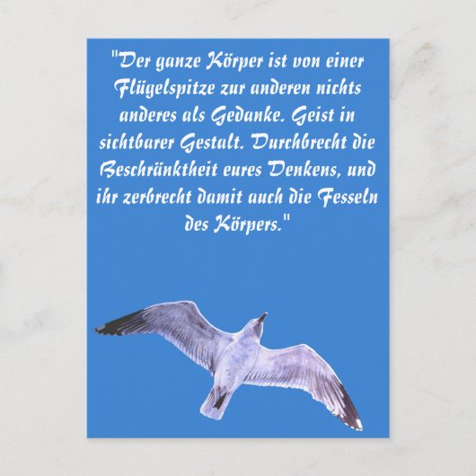 Seagull Postkarte (Vorderseite)