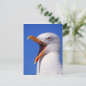 Seagull Postkarte (Stehend Vorderseite)