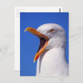 Seagull Postkarte (Vorne/Hinten)