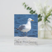 Seagull-Postkarte Postkarte (Stehend Vorderseite)