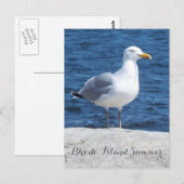 Seagull-Postkarte Postkarte (Vorne/Hinten)