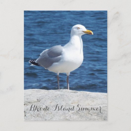 Seagull-Postkarte Postkarte (Vorderseite)