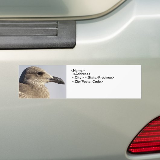 Seagull-Profil Autoaufkleber (Auf Auto)