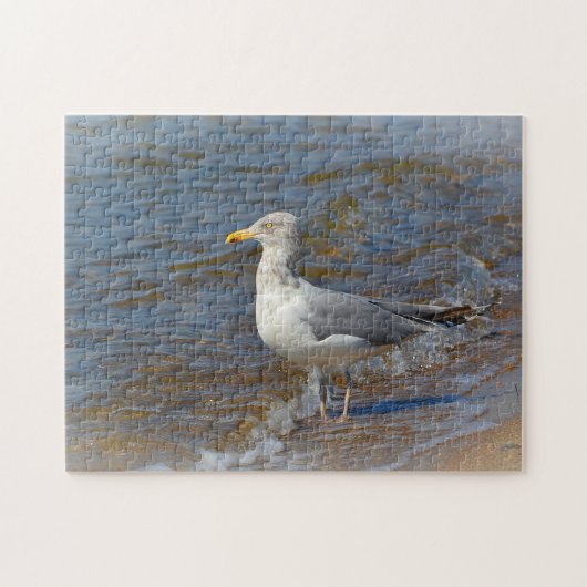 Seagull Puzzle (Horizontal)