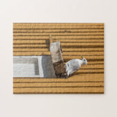 Seagull Puzzle (Horizontal)