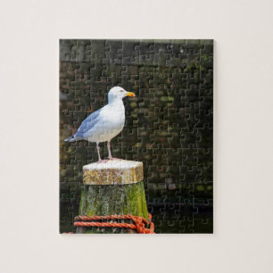 Seagull Puzzle