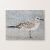 Seagull Puzzle (Horizontal)