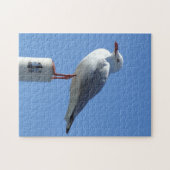 Seagull Puzzle (Horizontal)