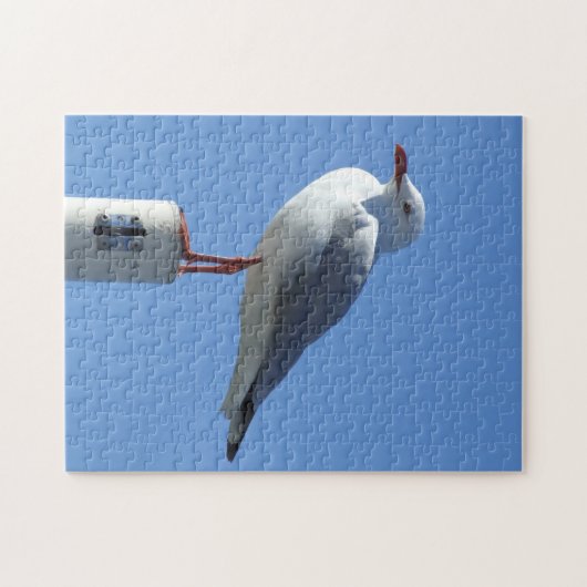 Seagull Puzzle (Horizontal)