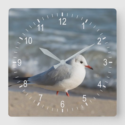 Seagull Quadratische Wanduhr (Vorderseite)