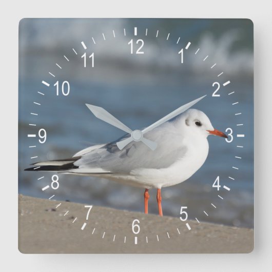 Seagull Quadratische Wanduhr (Vorderseite)