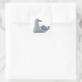 Seagull Quadratischer Aufkleber (Tasche)