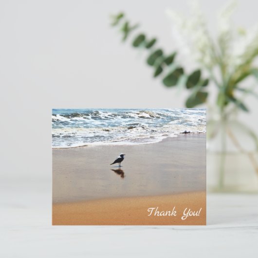 Seagull Reflection, Sand and Ocean Beach Vielen Da Postkarte (Stehend Vorderseite)