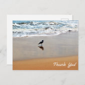 Seagull Reflection, Sand and Ocean Beach Vielen Da Postkarte (Vorne/Hinten)