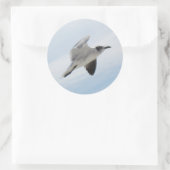Seagull Runder Aufkleber (Tasche)