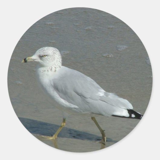 Seagull Runder Aufkleber (Vorderseite)