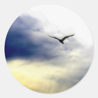 Seagull Runder Aufkleber
