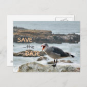 Seagull Save the Date Ankündigungspostkarte (Vorne/Hinten)