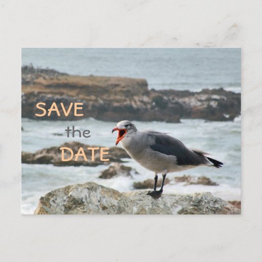 Seagull Save the Date Ankündigungspostkarte (Vorderseite)