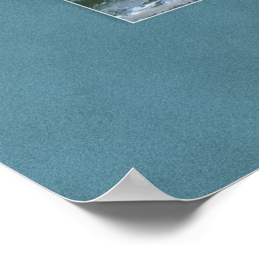 Seagull Scape Poster (Ecke)