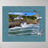 Seagull Scape Poster (Vorne)
