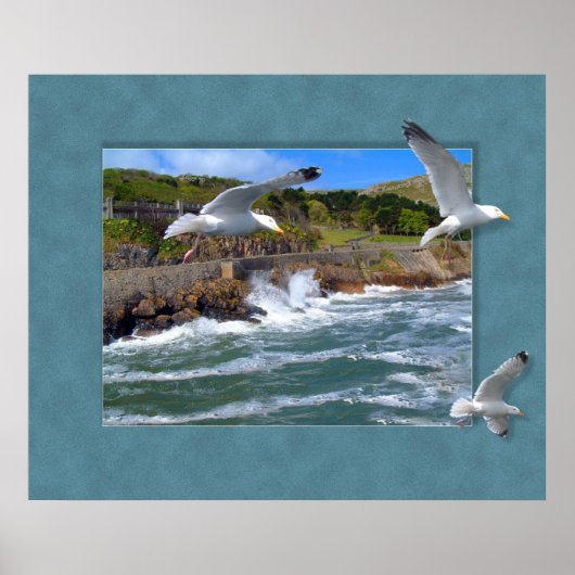 Seagull Scape Poster (Vorne)