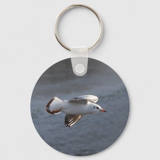 Seagull Schlüsselanhänger (Vorderseite)