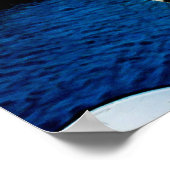 Seagull Shows Poster (Ecke)