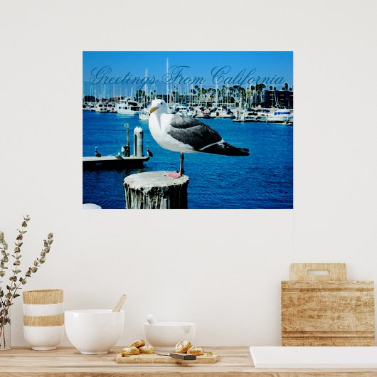 Seagull Shows Poster (Küche)