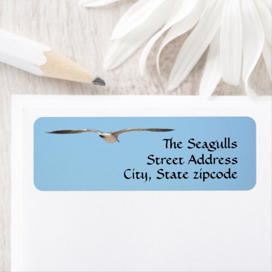 Seagull Silhouette Flying Sky Blue (Insitu)