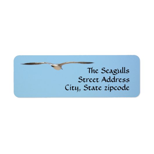 Seagull Silhouette Flying Sky Blue (Vorne)