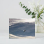 Seagull Sky Postcard Postkarte (Stehend Vorderseite)
