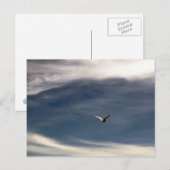 Seagull Sky Postcard Postkarte (Vorne/Hinten)