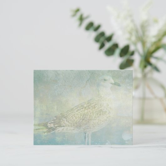 Seagull Sonata Postkarte (Stehend Vorderseite)