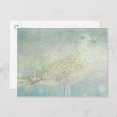 Seagull Sonata Postkarte (Vorne/Hinten)