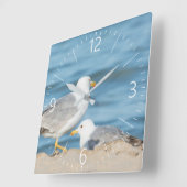 Seagull Spaziergang am Strand Quadratische Wanduhr (Winkel)