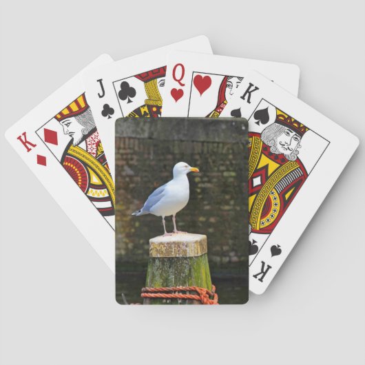 Seagull Spielkarten (Rückseite)