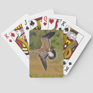 Seagull-Spielkarten Spielkarten