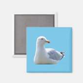 Seagull Square Car Magnet (Vorderseite/Rückseite)